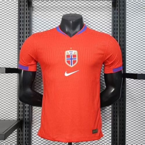 2025 Player Version Norway National Team Home Football Shirt