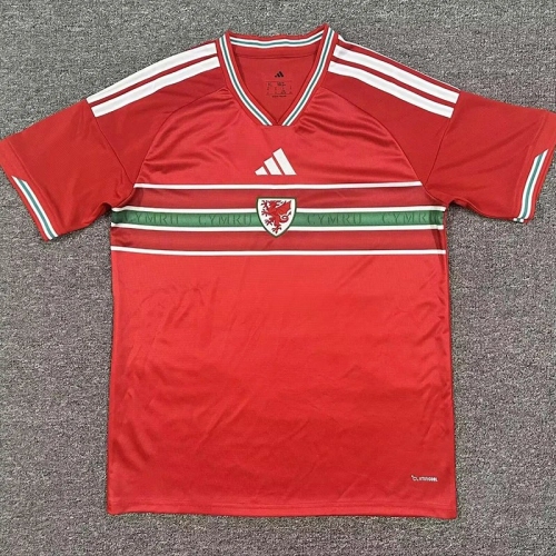 26/27 Wales Home Fans Soccer Jersey