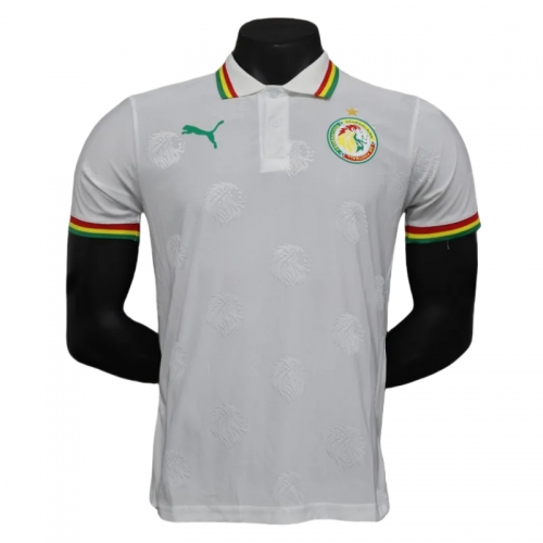2024/2025 Senegal Special Edition Senegal Football Jersey for Players