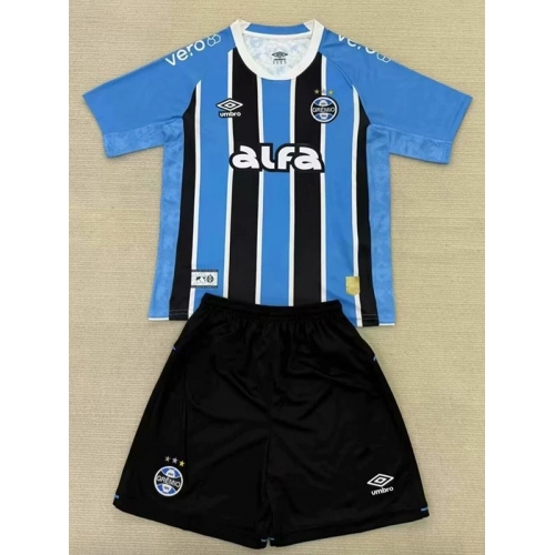 25/26 Gremio Home Fans Soccer Jersey