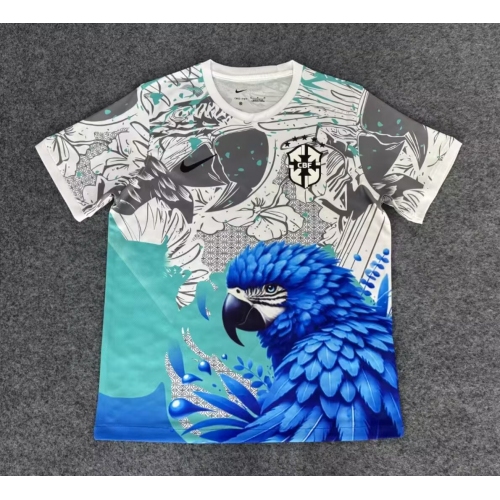 2025 Brazil Special Edition White And Blue Football Jersey