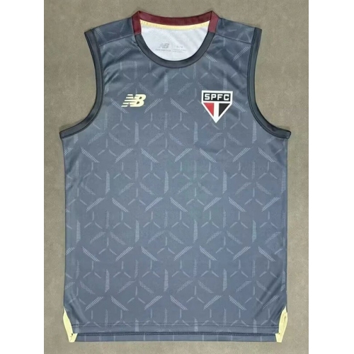 25/26 Sao Paulo Grey Training vest