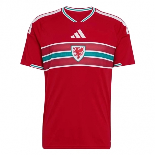 Argentina Wales Home Jersey World Cup 2026