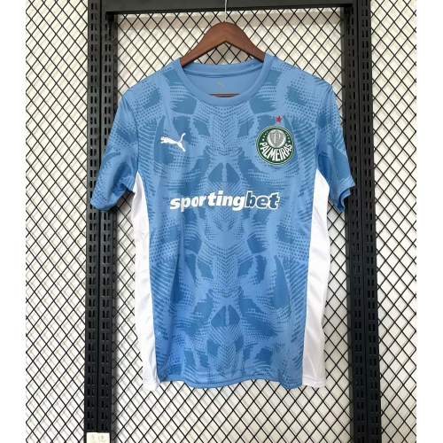 2025/2026 Palmeiras Goalkeeper Blue Football Jersey