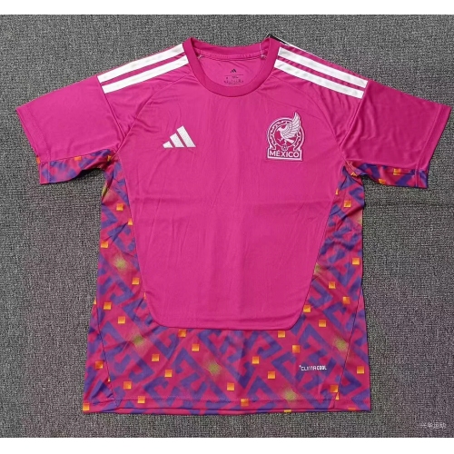 2026 Mexico National Team Goalkeeper Football Shirt