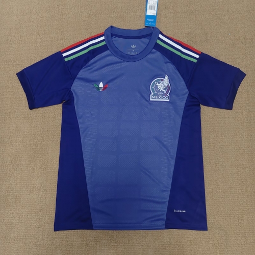 2026 Mexico National Team Goalkeeper Purple Football Shirt