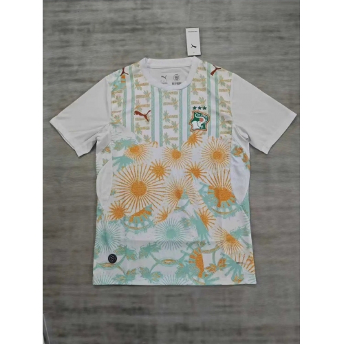 2026 Ivory Coast National Team Away Football Shirt