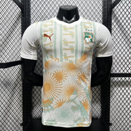 2026 Player Version Ivory Coast National Team Away Football Shirt