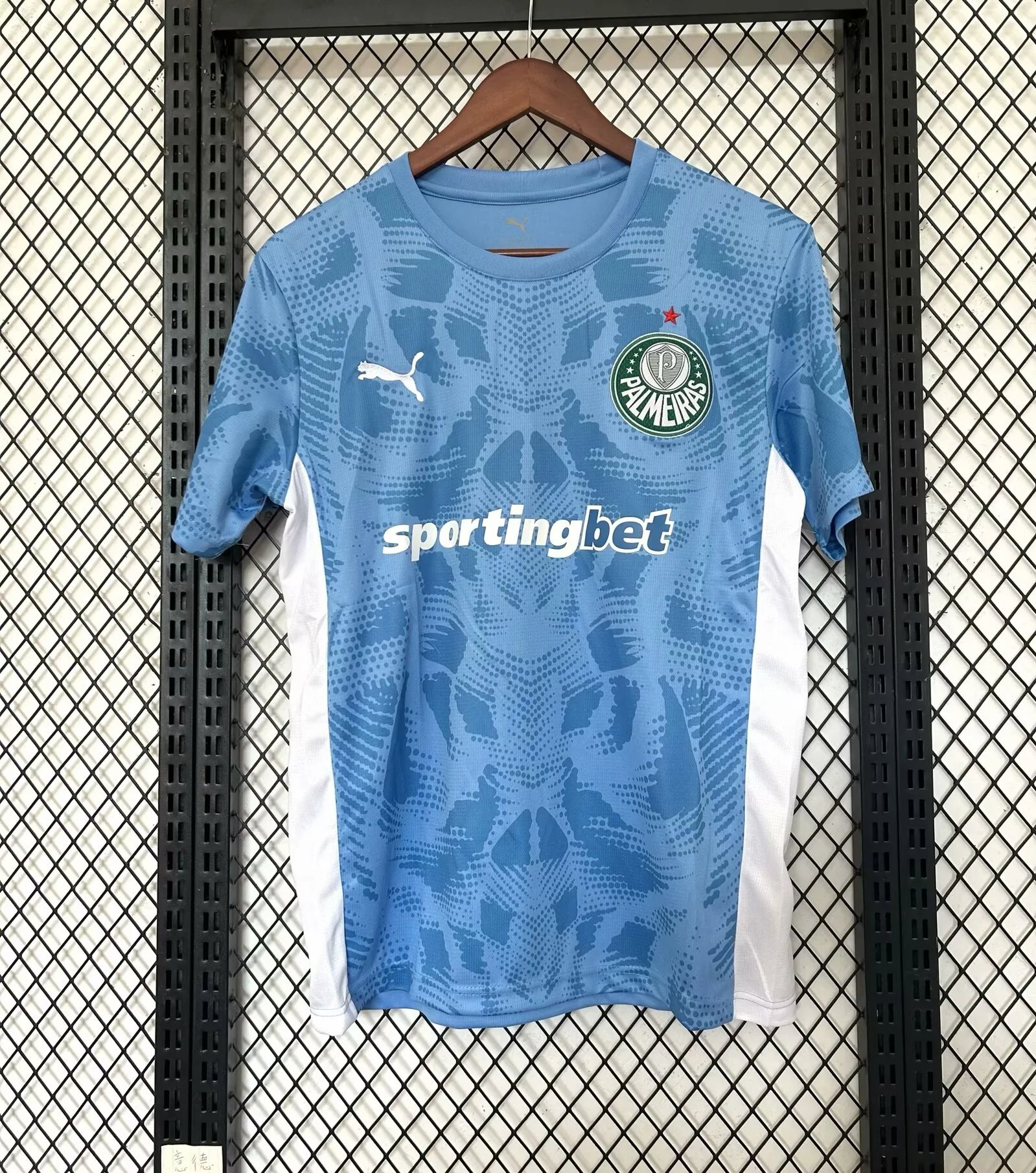 2025/2026 Palmeiras Goalkeeper Blue Football Jersey
